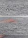 Рулонна штора День-Ніч Rolmax Монтана 08 Меланж графіт 30х130 см 384507994 фото 7